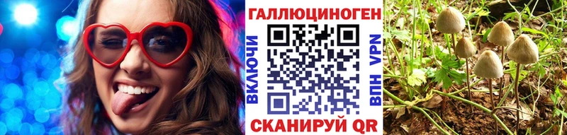 хочу наркоту  Светлоград  Галлюциногенные грибы Psilocybe 